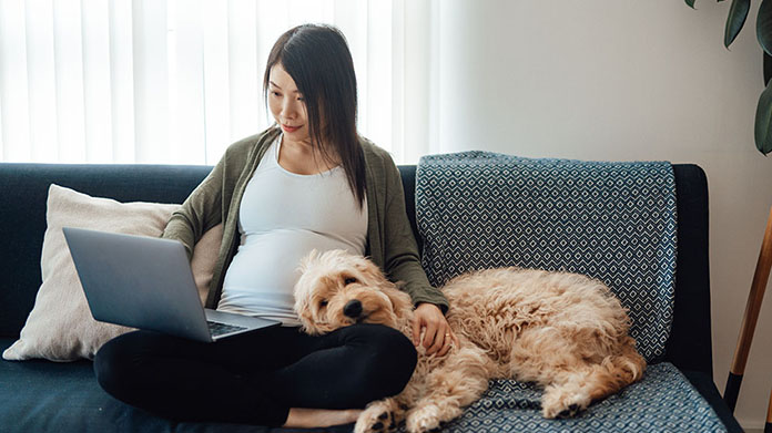 pregnant woman sitting on couch at home with her dog looking at her laptop